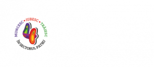 Negotiate natural spiral Acasa - Directia Generala de Impozite si Taxe Locale Sector 4