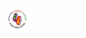 Acasa Directia Generala De Impozite Si Taxe Locale Sector 4